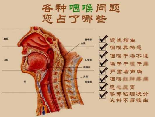 咽喉活动过程（咽喉活动过程中疼痛）-图3