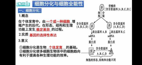 细胞氧化的基本过程（细胞氧化分为哪几个阶段）-图1