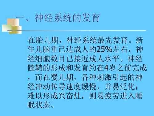 小儿神经系统发育过程（小儿神经系统发育过程图）-图2