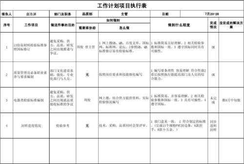 项目执行过程记录（项目执行过程记录表怎么写）-图1