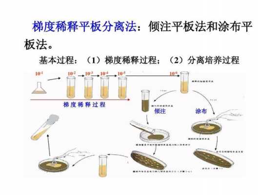 过程分离（过程分离PDP范式）-图1