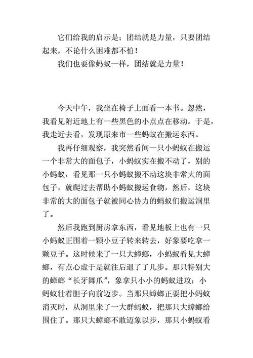 捉蚂蚁的过程作文（抓蚂蚁的乐趣作文）-图2