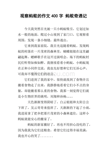 捉蚂蚁的过程作文（抓蚂蚁的乐趣作文）-图1