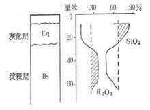 灰化过程名词解释（灰化作用发生的条件）-图1