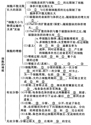 细胞增殖的过程图（细胞增殖结构图）-图3