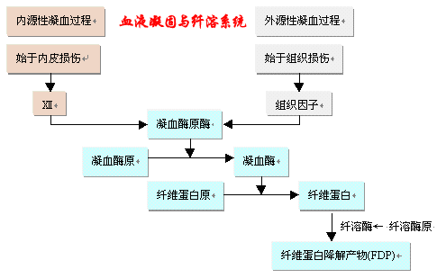 凝血过程和纤溶过程（凝血系统和纤溶系统图解）-图1