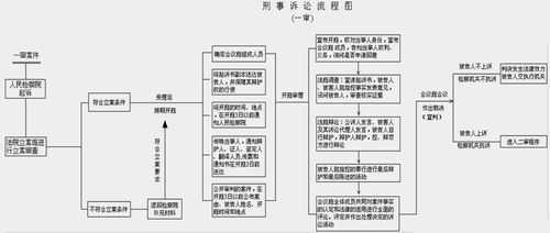 刑事司法过程（刑事案件司法程序）-图3