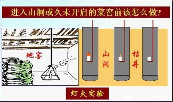 灯火实验的过程（灯火实验的目的）-图2