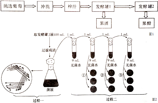 酒精稀释过程（酒精稀释的原理）-图2