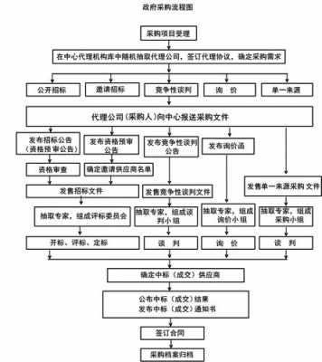 政府采购执行的过程（政府采购执行的过程包括）-图1