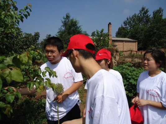 轻松学子暑假实践过程（学生暑假实践）-图2