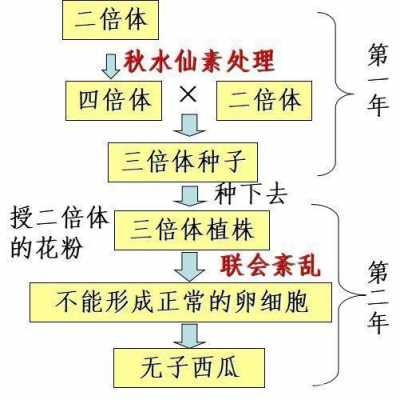 选择育种的过程（选择育种过程中选择的原则为 ）-图2