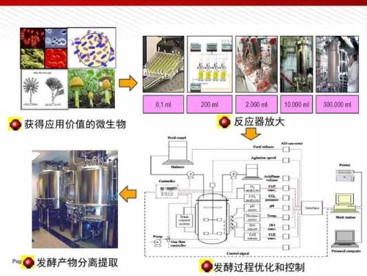 发酵过程优化（发酵过程优化的目的）-图2