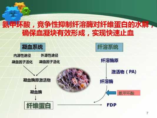 抗纤溶过程（抗纤溶什么意思）-图3