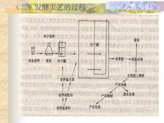 发酵过程的特点（发酵过程的特点有）-图1