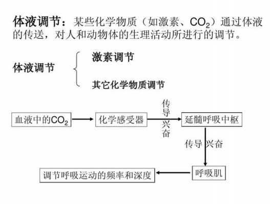 调控生命过程（调节生命活动,被称为“生命中枢”的是）-图1