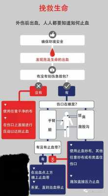 止血过程涉及（止血途径）-图1