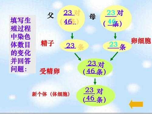 信息传递过程的原则（信息传递的五大原则）-图3