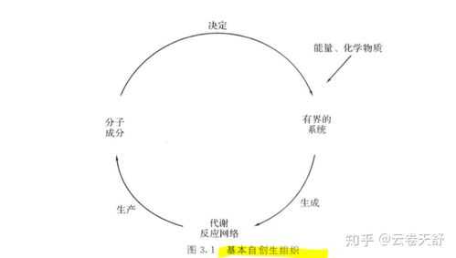 认知控制过程（认知控制过程名词解释）-图2