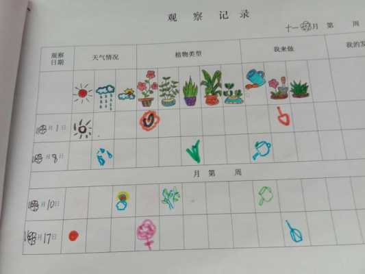 幼儿种植植物过程（幼儿园种植植物的过程记录）-图3