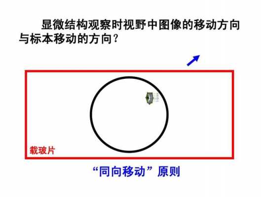 方向性过程（方向性原则）-图3