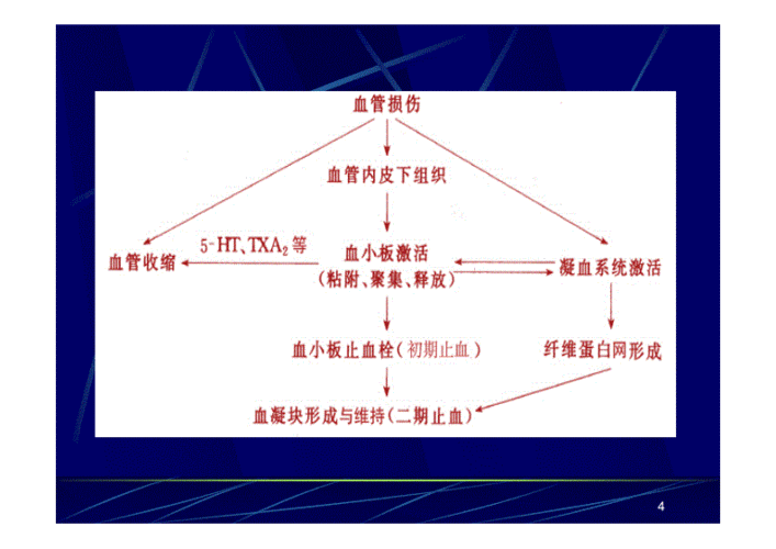 叙述止血与凝血过程（叙述止血与凝血过程的区别）-图3