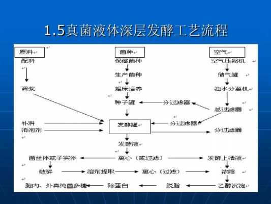 发酵过程真菌作用（发酵过程真菌作用是什么）-图1