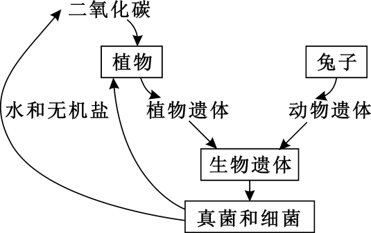 发酵过程真菌作用（发酵过程真菌作用是什么）-图3