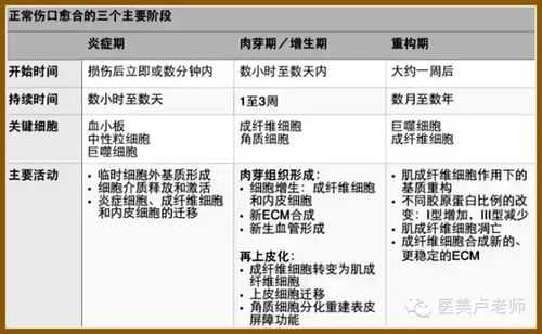 瘢痕愈合病理过程（瘢痕愈合的病理生理过程）-图3