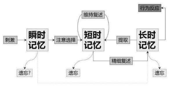 记忆的过程的特点（记忆的过程包括哪几个方面）-图1