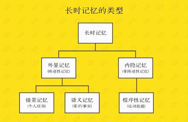 记忆的过程的特点（记忆的过程包括哪几个方面）-图3