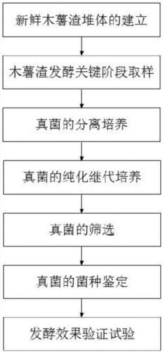 真菌分化过程（真菌分离的方法有哪些,简要说明）-图1