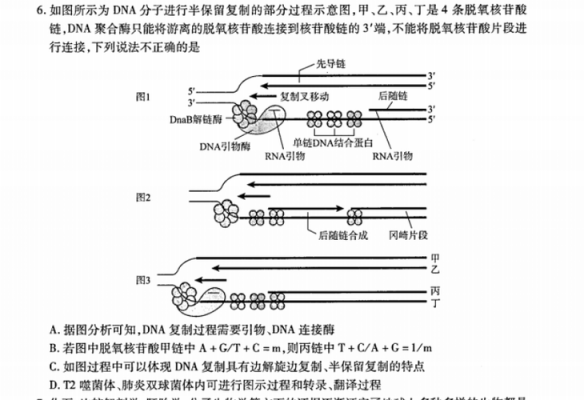 半保留复制过程（半保留复制过程概括）-图2