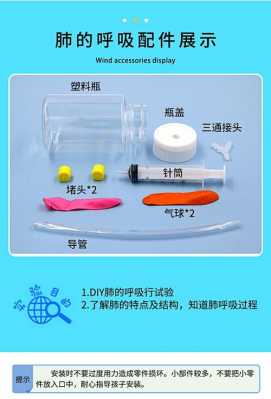 呼吸模型实验过程（呼吸模型的制作方法）-图2