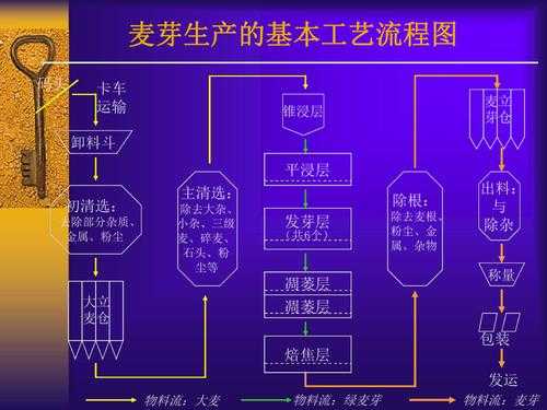 麦芽生产过程（麦芽生产过程介绍讲解）-图3