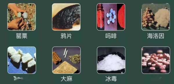 毒品作用过程（毒品原本的作用）-图1