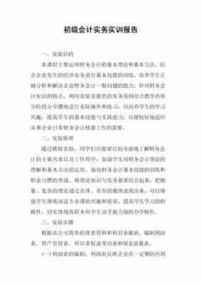 财务会计综合实训过程（财务会计综合实训过程怎么写）-图1