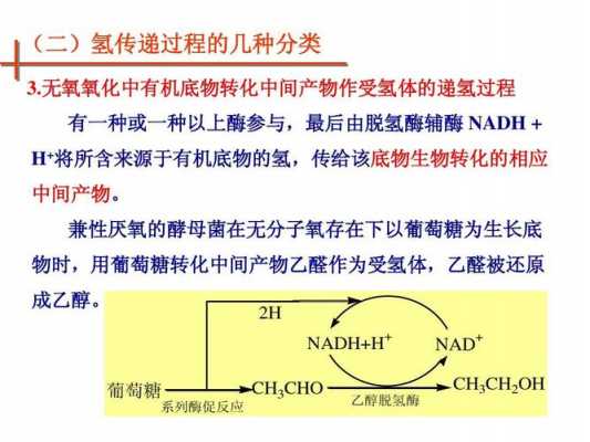 脱氢过程和递氢过程的异同（脱氢反应机理）-图3