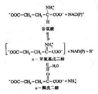 脱氢过程和递氢过程的异同（脱氢反应机理）-图2