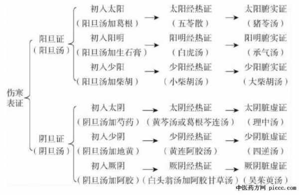 阴传的过程（阴传阳传是什么意思）-图3