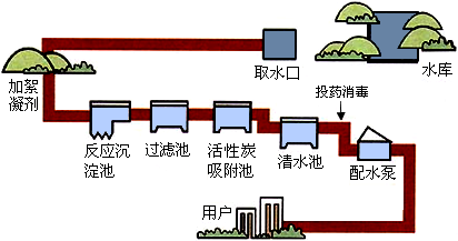 如图自来水厂净水过程（自来水厂净水过程中所采用的方法包括沉淀吸附蒸馏）-图1