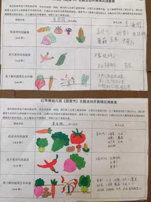 蔬菜主题探究过程（蔬菜主题探究过程怎么写）-图1