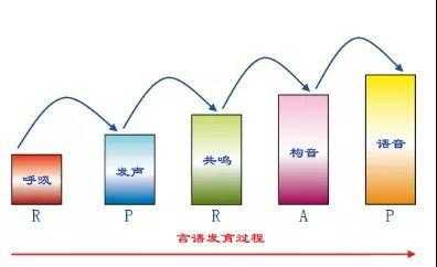 语言的过程（语言的形成有几个阶段）-图2