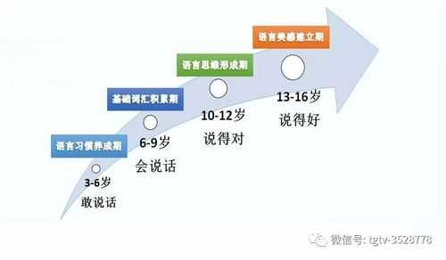 语言的过程（语言的形成有几个阶段）-图3