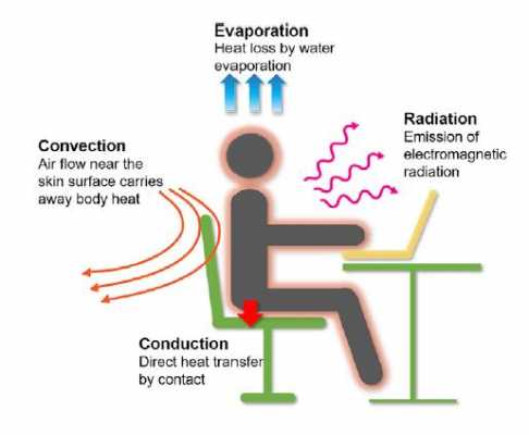 人体散热过程（人体散热过程图解）-图3