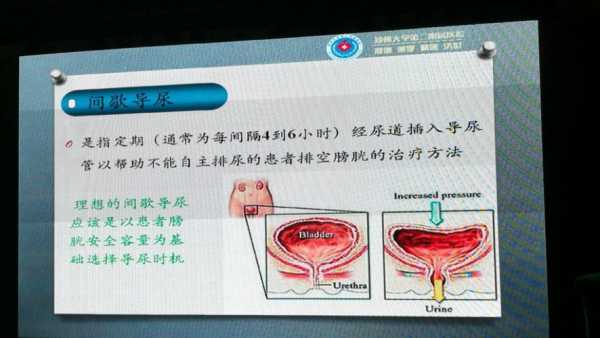 测残余尿的过程（残余尿的测量方法）-图2