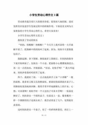 劳动过程及感受（劳动过程及感受作文300字）-图2