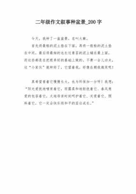 种盆栽过程作文（种盆栽的过程作文）-图1