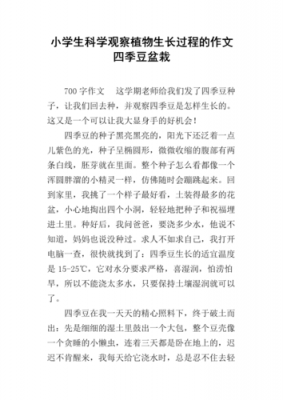 种盆栽过程作文（种盆栽的过程作文）-图3