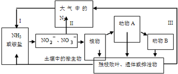 简述土壤氮循环过程（简述土壤氮循环过程的特点）-图3